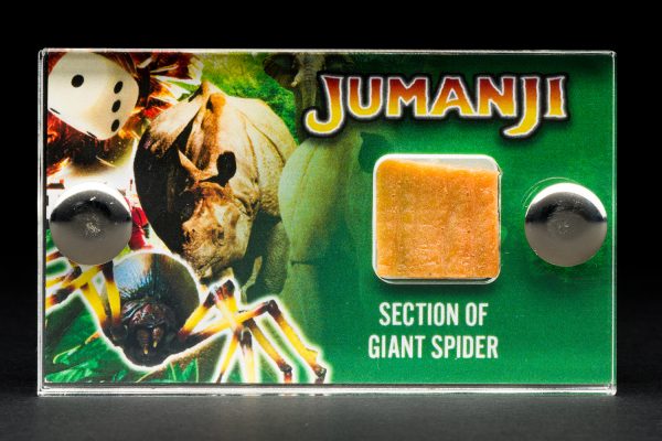 Jumanji - 1995 – Giant Spider Movie Prop Fragment with COA - Image 5