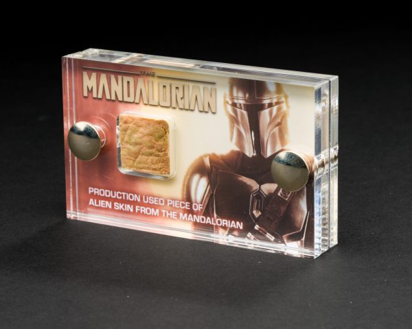 Mandalorian Alien Skin Fragment - Star Wars - Production Used Movie Prop with COA - Image 2