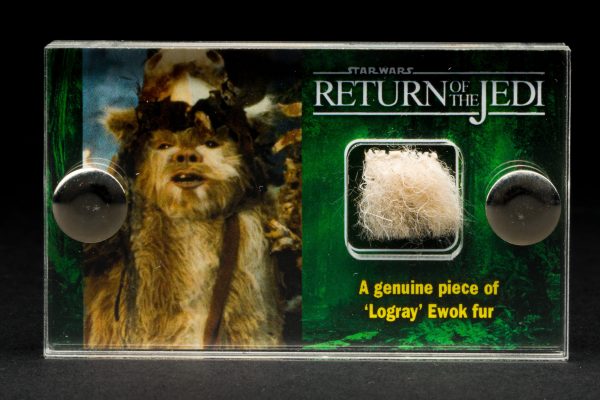 Star Wars - ROJ - Logray Ewok Fur Piece - Movie Prop with COA - Image 4