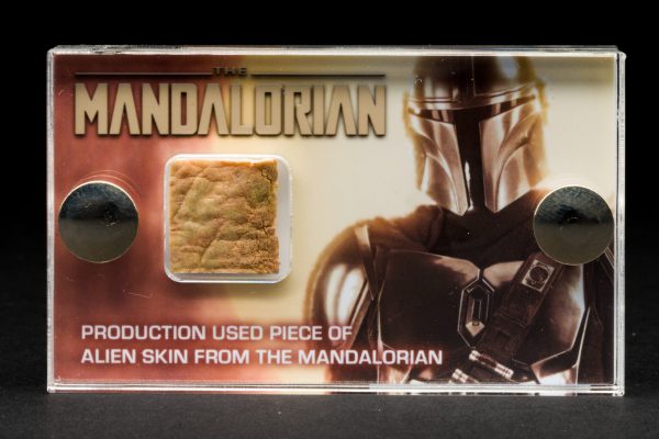 Mandalorian Alien Skin Fragment - Star Wars - Production Used Movie Prop with COA - Image 5
